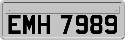 EMH7989