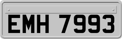 EMH7993
