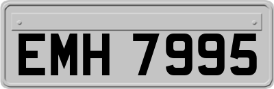 EMH7995