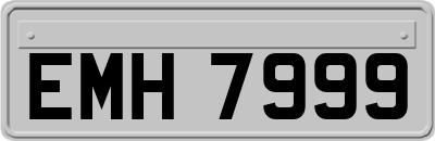 EMH7999
