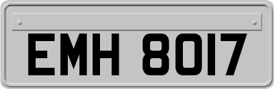 EMH8017