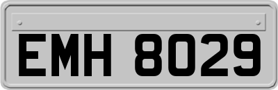 EMH8029