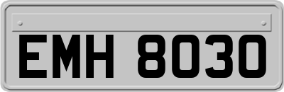 EMH8030