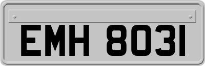 EMH8031