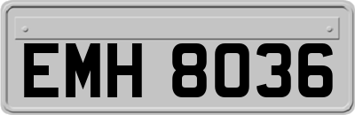 EMH8036