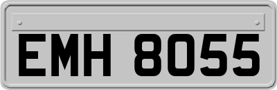 EMH8055