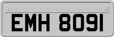 EMH8091
