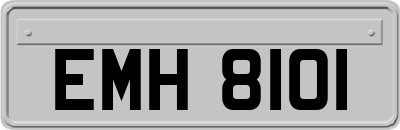 EMH8101