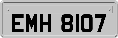 EMH8107