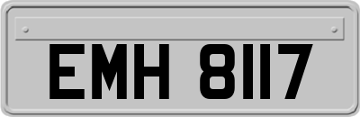 EMH8117