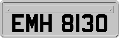 EMH8130