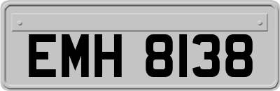 EMH8138