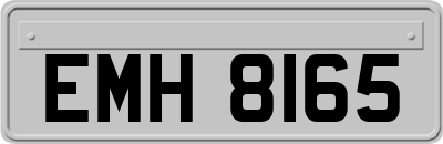 EMH8165