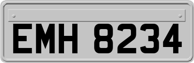 EMH8234