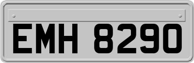 EMH8290
