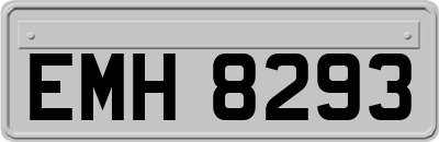 EMH8293