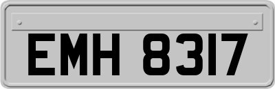 EMH8317
