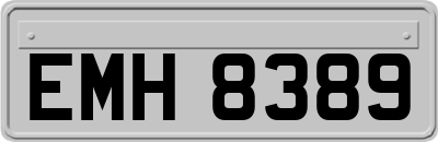EMH8389