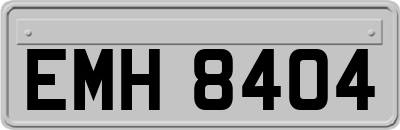 EMH8404