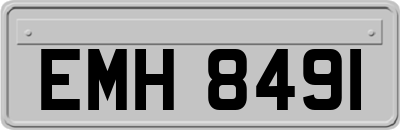 EMH8491