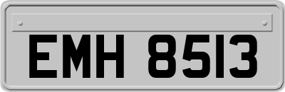EMH8513