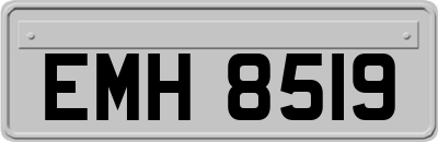 EMH8519