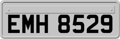EMH8529