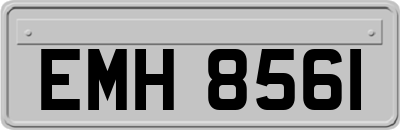 EMH8561