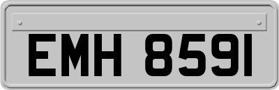 EMH8591