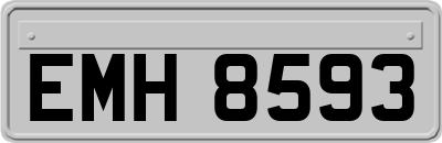 EMH8593