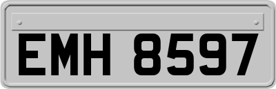 EMH8597