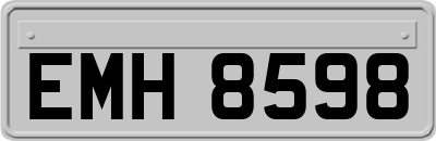 EMH8598