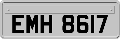 EMH8617