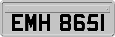 EMH8651