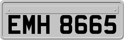 EMH8665