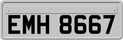 EMH8667