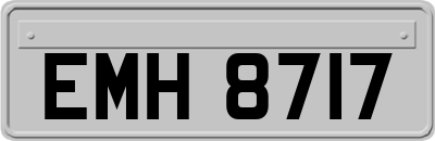 EMH8717