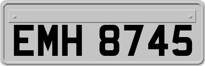 EMH8745