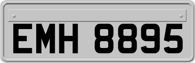 EMH8895