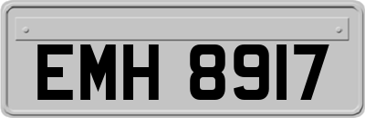 EMH8917