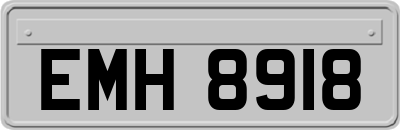 EMH8918