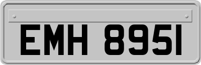 EMH8951