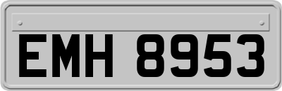 EMH8953