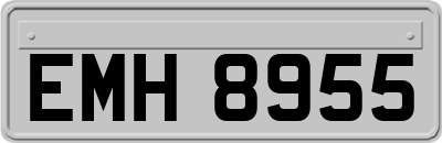 EMH8955