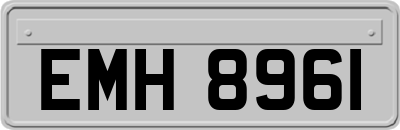 EMH8961