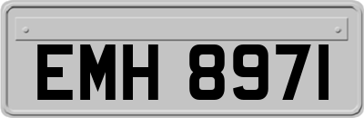 EMH8971