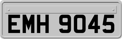 EMH9045