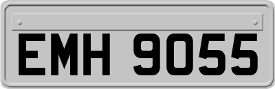 EMH9055