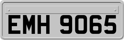 EMH9065
