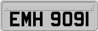EMH9091